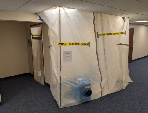 Commercial Mold Remediation Project